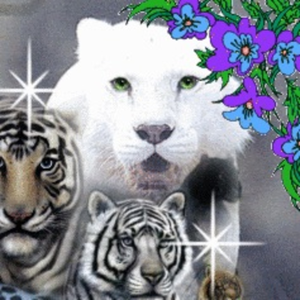 Meet your Posher, Snowangelz8